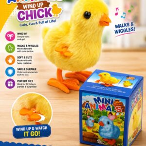 Mini Animal Chicks - Image 1